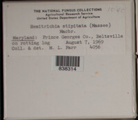 Image Associated With the Occurence